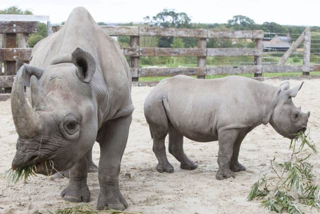 Mum Samira and baby Olmotti