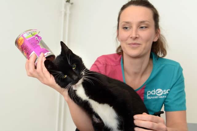Felix the cat needed emergency surgery to remove a tin of food which got stuck on his head.