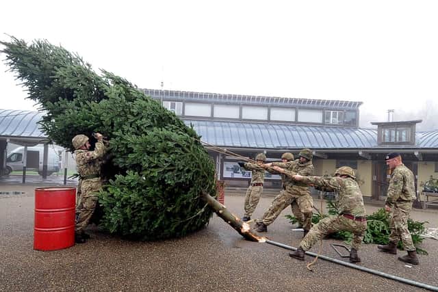 Is your Christmas tree up yet?
