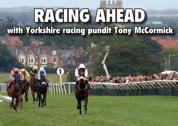 Racing Ahead with Tony McCormick