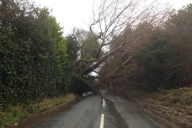 Hackness Road in Scalby by Carla Fowler