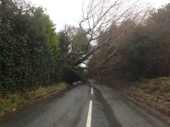 Hackness Road in Scalby by Carla Fowler