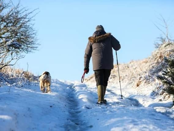 Walking can help beat the Blue Monday blues - even in bad weather