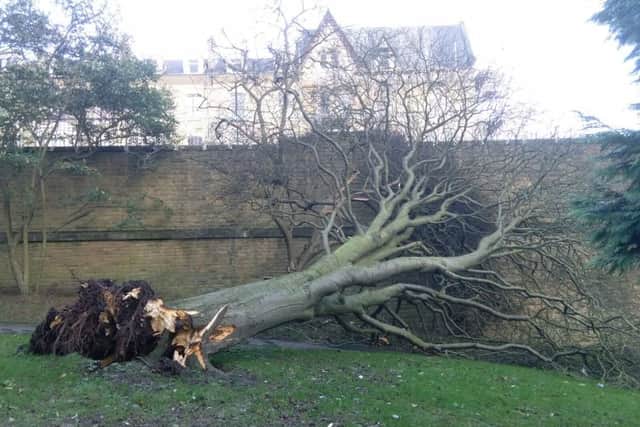 Damage from Storm Henry