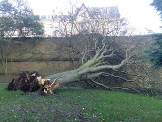 Damage from Storm Henry