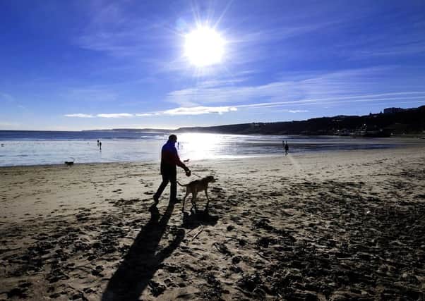 The sun shines on Scarborough's South Bay beach as walkers enjoy the fresh air.