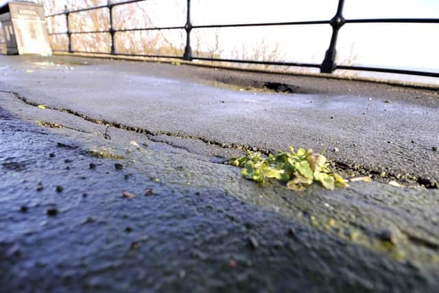 The pavement cracks
