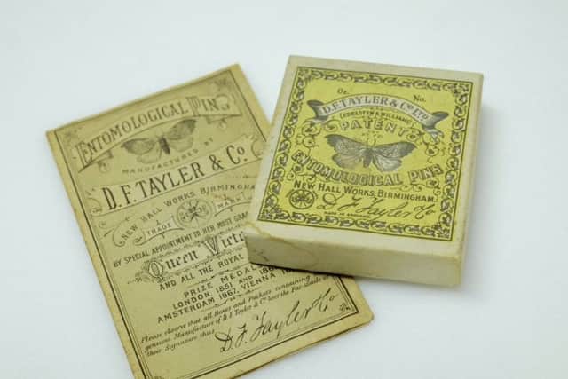 Entomological box of pins in the Scarborough Collections.