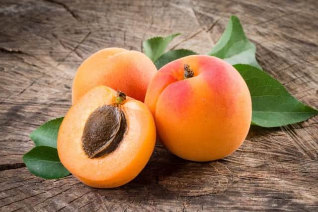 Apricots.