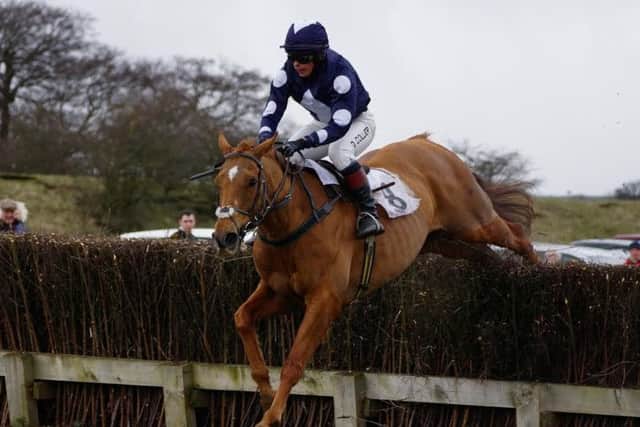 Amy Collier riding Tasheba to victory in the Hunt Race at Charm Park, her first win in only her third ride.