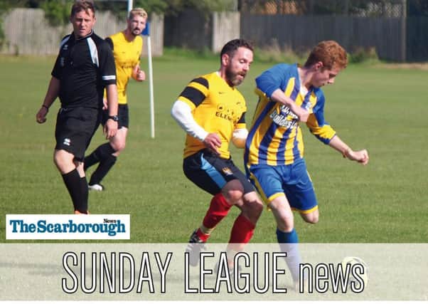 Sunday cup reports