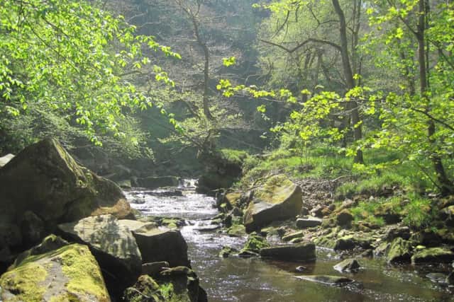 The beautiful waters of West Beck close to Mallyan Spout.