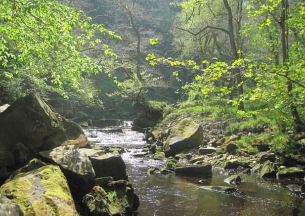 The beautiful waters of West Beck close to Mallyan Spout.