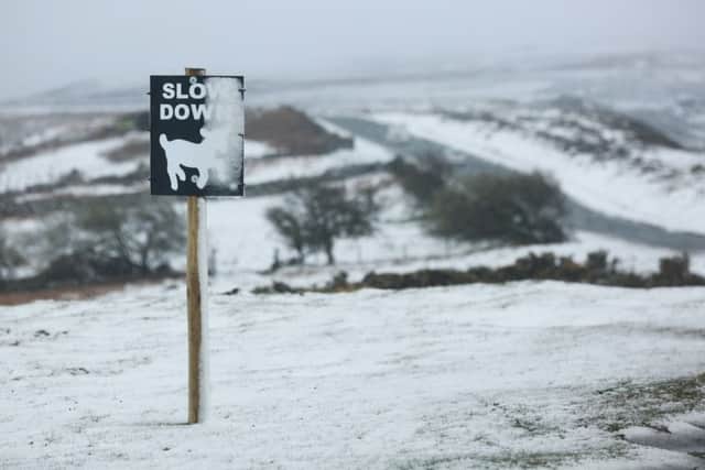 The moorland roads between Castleton and Rosedale in North Yorkshire are covered in snow this morning. Picture: Ross Parry Agency