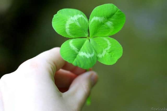 Four leaf clover: Academics are out to banish the Friday the 13th myth for good