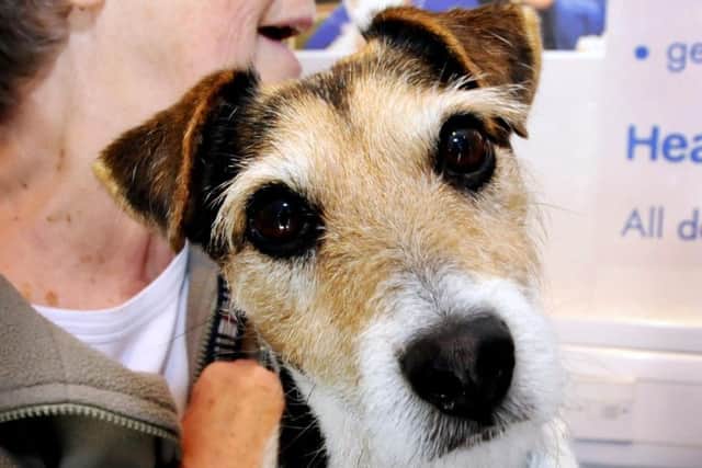 Survey reveals top ten unluckiest pet names and its bad luck for Bruno