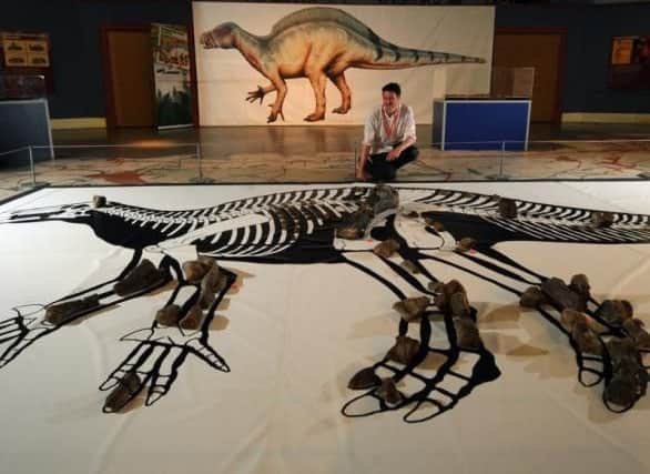 Leeds Museum Curator Neil Owen pictured with the partial Skeleton of a 25ft Hypselospinus.