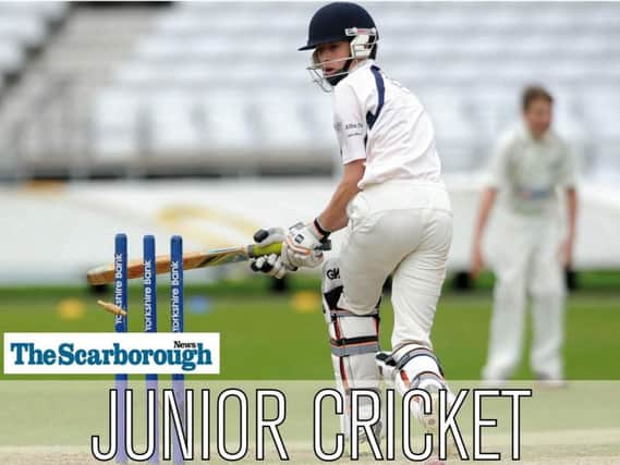 Junior cricket round-up