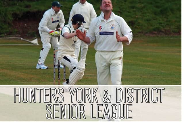 York Senior League