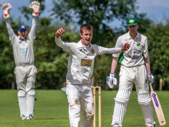 Ebberston's Frankie Beal appeals for a wicket in their crucial win at Mulgrave last weekend. Picture: Brian Murfield.