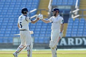 Joe Root and Jonny Bairstow celebrate their record breaking partnership for 
Yorkshire against Surrey in May. (Picture: Bruce Rollinson)