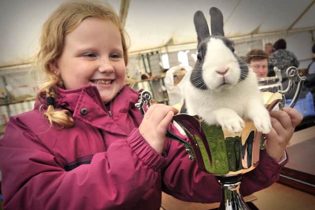 Burniston Show 2015. Champion bunny .Lucy Jo Dodgson with Bluebuzz..pic Richard Ponter 153801l