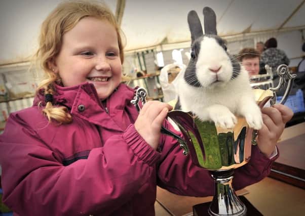 Burniston Show 2015. Champion bunny .Lucy Jo Dodgson with Bluebuzz..pic Richard Ponter 153801l