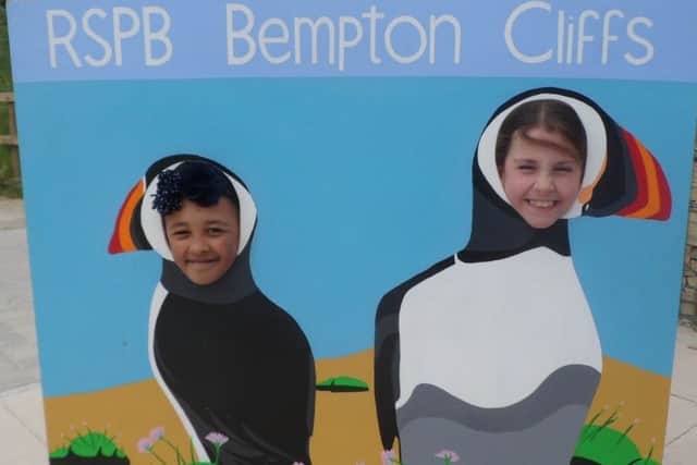 There will be lots to keep children occupied at RSPB Bempton Cliffs summer fete