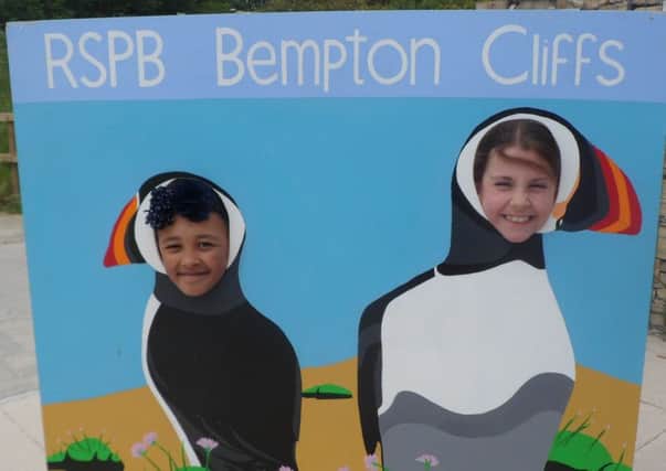 There will be lots to keep children occupied at RSPB Bempton Cliffs summer fete