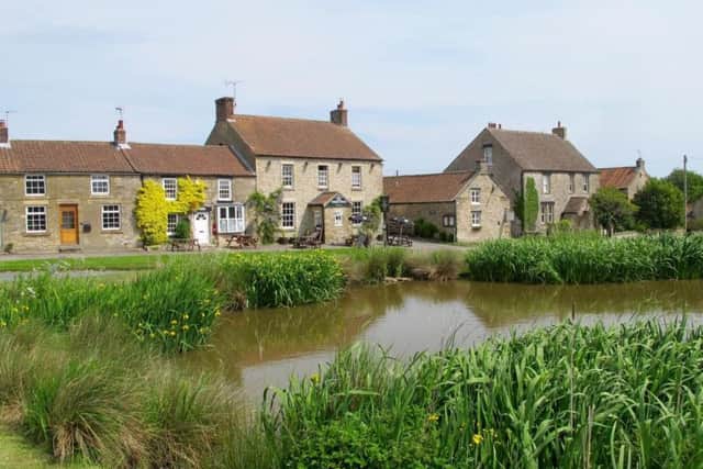 The village pond at Newton-on-Rawcliffe