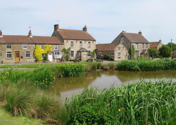 The village pond at Newton-on-Rawcliffe
