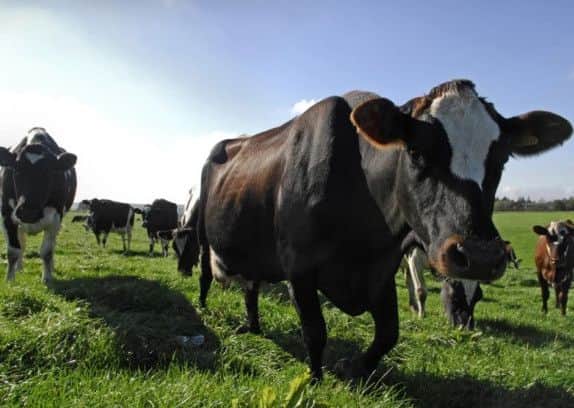 How technology is helping the battle against dairy prices