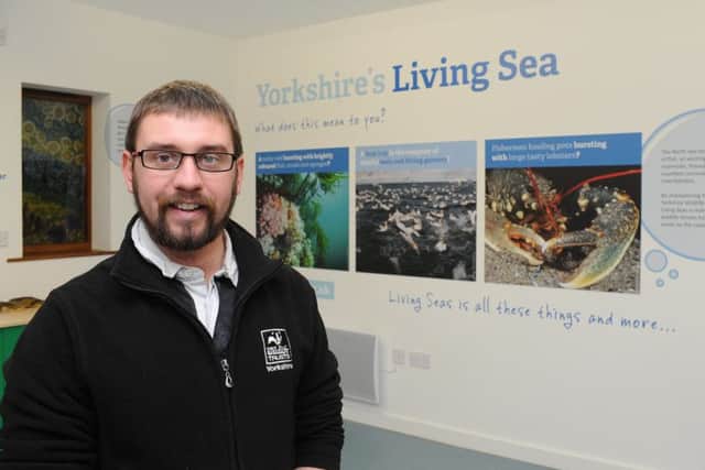 Living Seas Centre manager Anthony Hurd said if you see an injured seal contact the RSPCA.