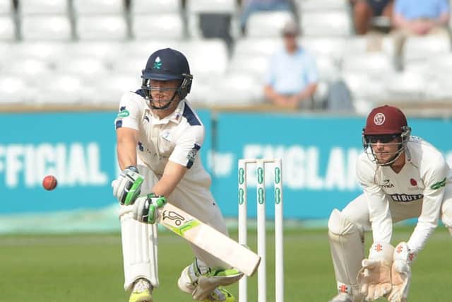 Jake Lehmann sweeps Somerset's spinner Micheal Leach away.