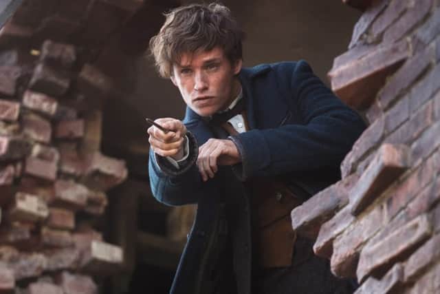 Eddie Redmayne as Newt Scamander in Fantastic Beasts and Where to Find Them. Credit: 2016 Warner Bros Entertainment.