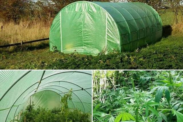 A local man has been arrested pending further enquiries.