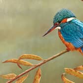 A kingfisher on willow is just one of the amazing wildlife paintings on display at Robert Fullers Gallery in Thixendale.