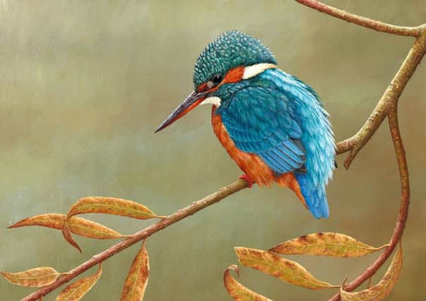 A kingfisher on willow is just one of the amazing wildlife paintings on display at Robert Fullers Gallery in Thixendale.