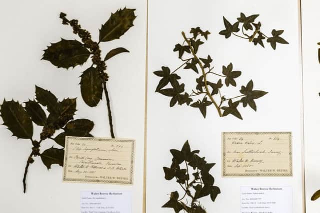 A selection of pressed Christmas cards in the Scarborough Collections.
