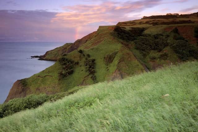 Sandstone and limestone cliffs at Ravenscar at the southern end of Robin Hood's Bay, by Joe Cornish, National Trust Images.