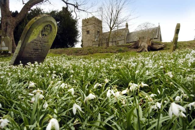 061210b in B20 20/3 pic AH
Weekly Walk - round Hutton Buscel, snowdrops in St Matthews Church graveyard