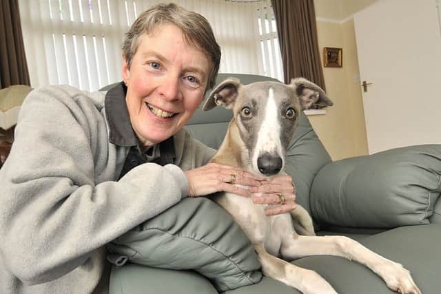 Julie Taylor-Radcliffe with her pet whippet Flint. Picture: Richard Ponter 170621b