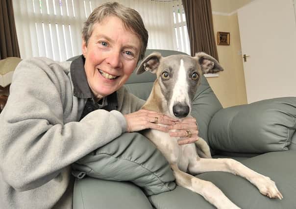 Julie Taylor-Radcliffe with her pet whippet Flint. Picture: Richard Ponter 170621b