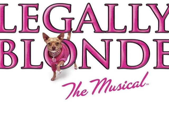 Legally Blonde will be at the YMCA Theatre in Scarborough later this year
