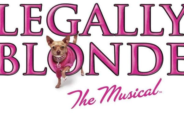 Legally Blonde will be at the YMCA Theatre in Scarborough later this year