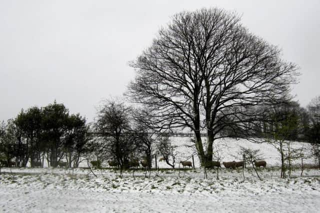 Yorkshire is expected to see some snow on high ground throughout this week.