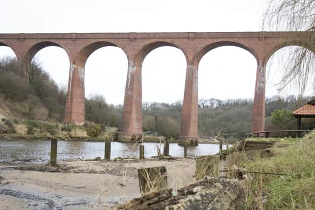 The Larpool Viaduct. Pictures by Scott Wicking