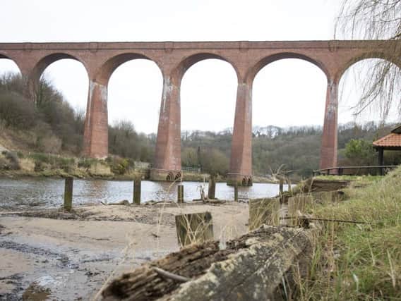 The Larpool Viaduct. Pictures by Scott Wicking