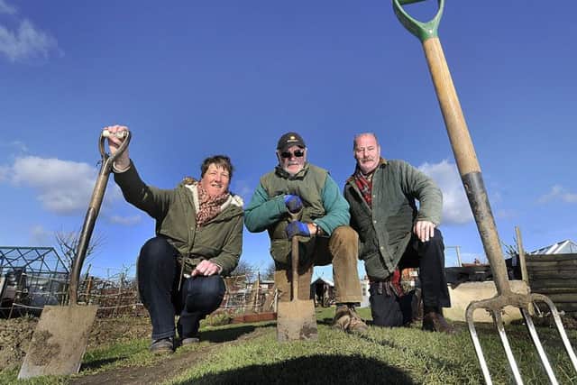 Helen James, Les Wing and Mike Nesfield at the allotments. Picture by Richard Ponter 170821