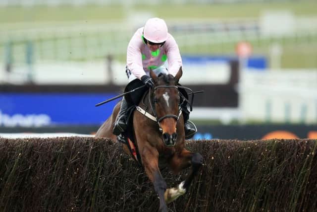 Willie Mullin's Douvan is a heavy favourite to win the Queen Mother's Chase